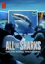 Žraloci kam se podíváš