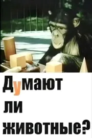 Чи думають тварини?