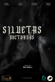 SILUETAS NOCTURNAS
