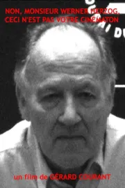 Non, monsieur Werner Herzog, ceci n'est pas votre Cinématon