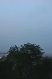 L'internationale des fonctionnaires