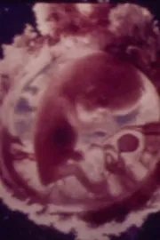 Le ventre, un supermonde