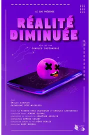 Réalité Diminuée