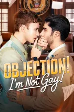 Objection I'm not gay