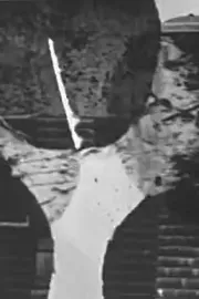 Trail to Koskimo, His First Hunt, The