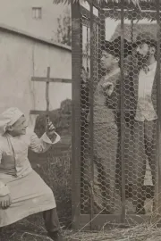 Les farces de Toto Gâte-Sauce