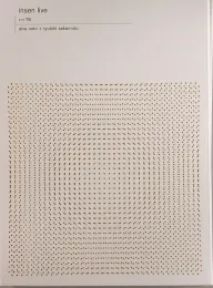 Alva Noto + Ryuichi Sakamoto: Insen Live