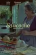 Sancocho