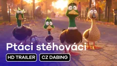 Ptáci stěhováci: finální trailer