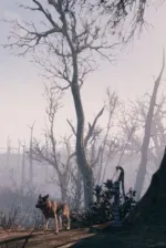 Život se vyplatí žít