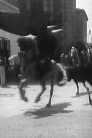 Course de taureaux provençale