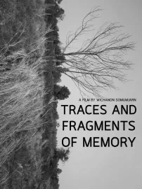 Traces and Fragments of Memory
