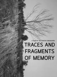 Traces and Fragments of Memory