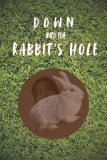 Down into the Rabbit's Hole
