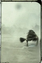 History Will Teach Us Nothing