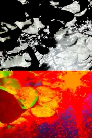 Devolution / A.K.A. Rest In Peace