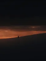 Dove gli Alberi non Parlano