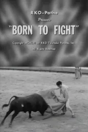 Born to Fight