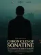 Chronicles of Sonatine or: Shadows of the Broken Memories