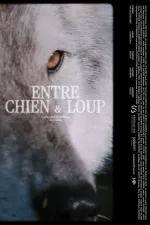 ENTRE CHIEN & LOUP