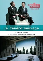 Le Canard sauvage