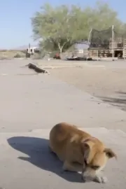 The Last Free Place in America