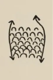 Projet Pour Un Poisson