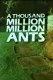 A Thousand Million Million Ants