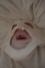 Le Roman de Remort, ou les fabliaux inhumains & vilains de l'Ultime Carnaval