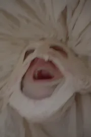 Le Roman de Remort, ou les fabliaux inhumains & vilains de l'Ultime Carnaval