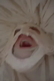 Le Roman de Remort, ou les fabliaux inhumains & vilains de l'Ultime Carnaval