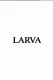 Larva
