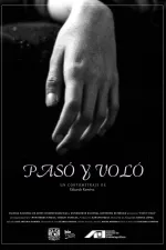 Pasó y voló
