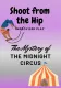 The Mystery of the Midnight Circus