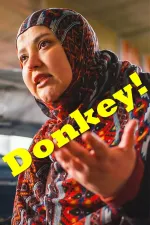 Donkey