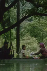 Tóc, giấy và nước...