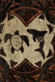 The Turtle and The Shark