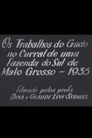 Os Trabalhos do Gado no Curral de uma Fazenda do sul do Mato Grosso