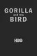 Gorilla and the Bird
