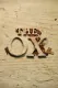 The Ox