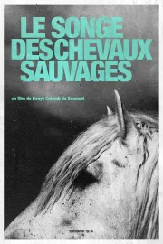 Le songe de chevaux sauvages