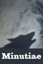 Minutiae