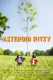 Asteroid Ritzy
