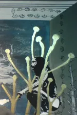 Shaman Showman: The Life and Work of Roberto Villanueva