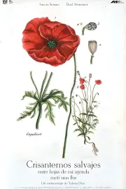 Crisantemos salvajes entre hojas de mi agenda metí una flor