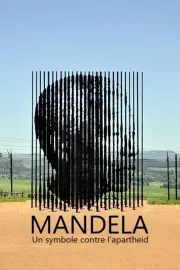 Nelson Mandela, Beyond the Myth
