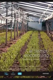El tiempo encontrado