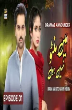 Main Manto Nahi Hoon