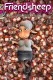 Friendsheep