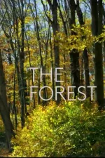 The Forest
